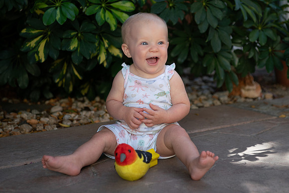 Avery 091123-01