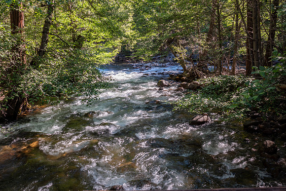 Yosemite0624-161