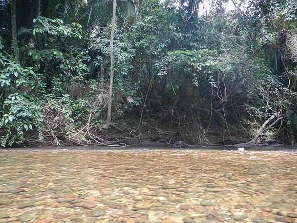 Cave tubing