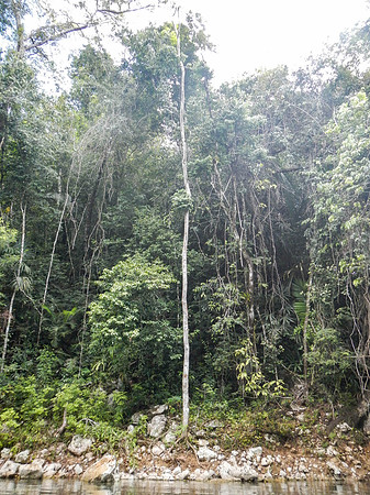 Cave tubing