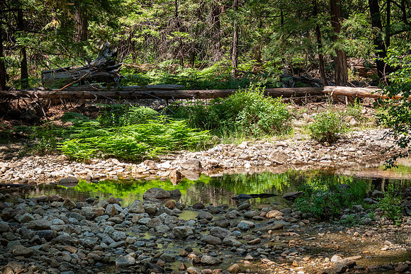 Yosemite0624-079