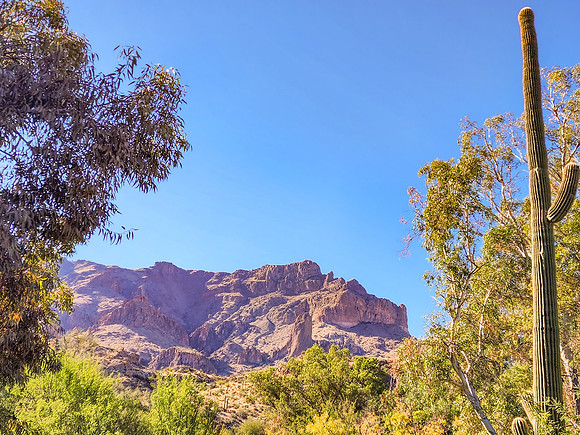 Arizona1023-051