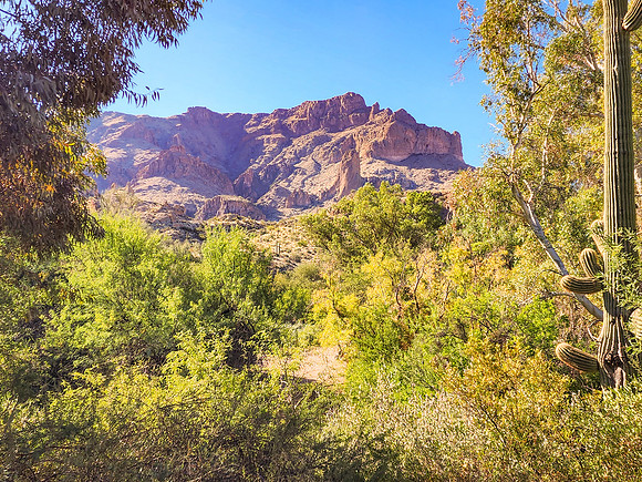 Arizona1023-052