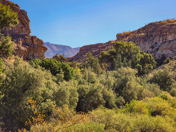 Arizona1023-060