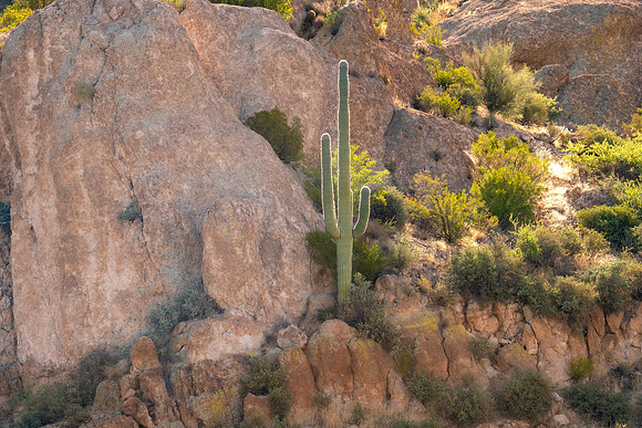 Arizona1023-064