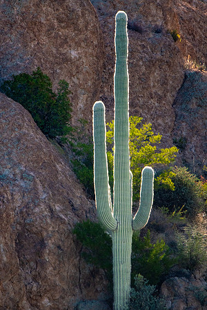 Arizona1023-065