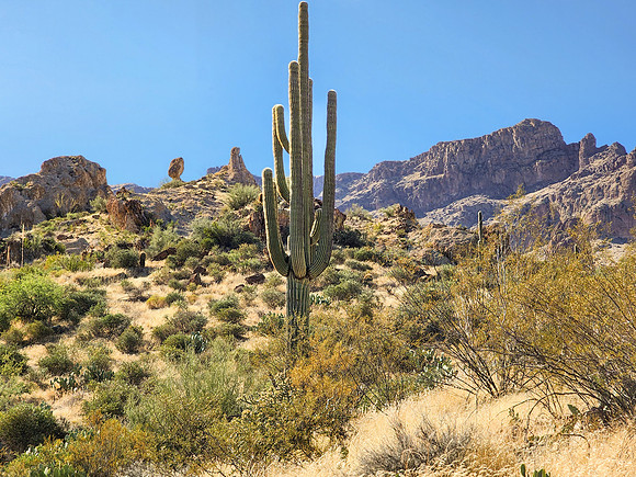 Arizona1023-066