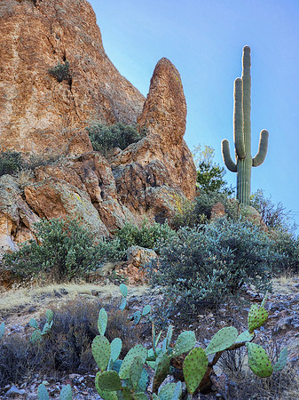 Arizona1023-072
