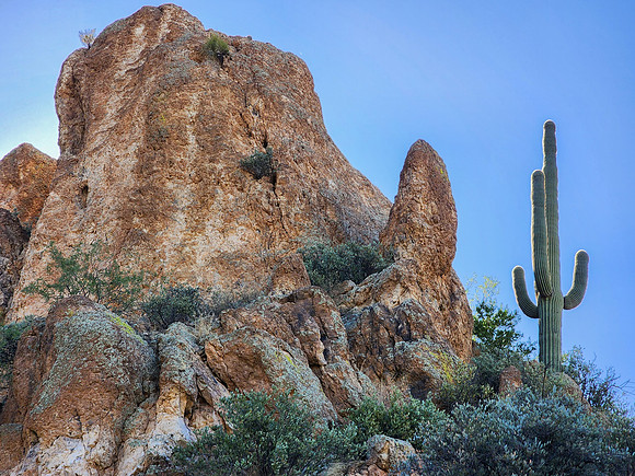 Arizona1023-073