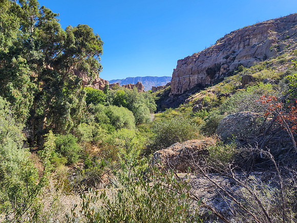 Arizona1023-076