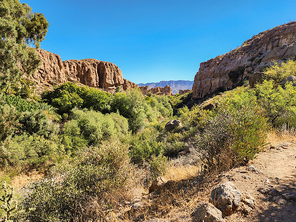 Arizona1023-078