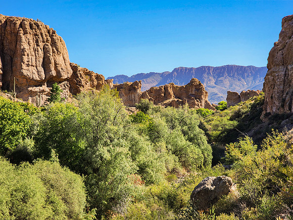 Arizona1023-079