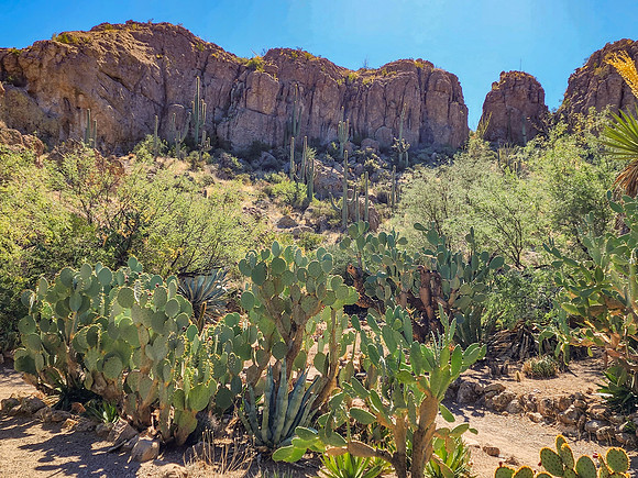 Arizona1023-093