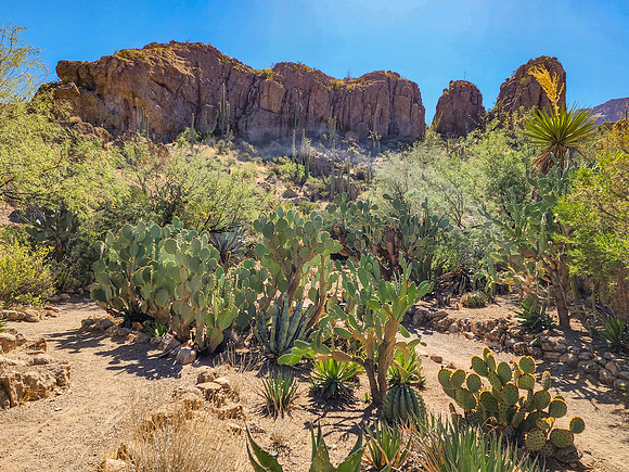 Arizona1023-094