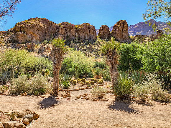 Arizona1023-095