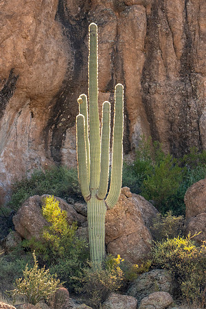 Arizona1023-097