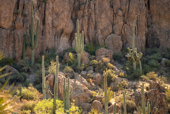 Arizona1023-098