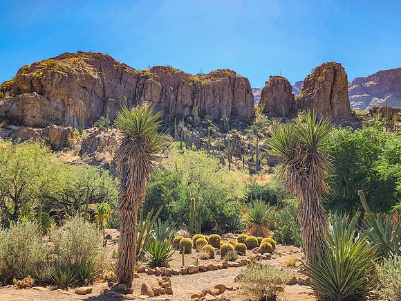 Arizona1023-096