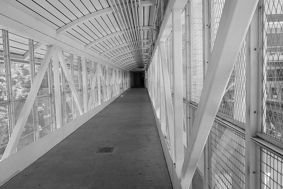 Lo 061818BW-003