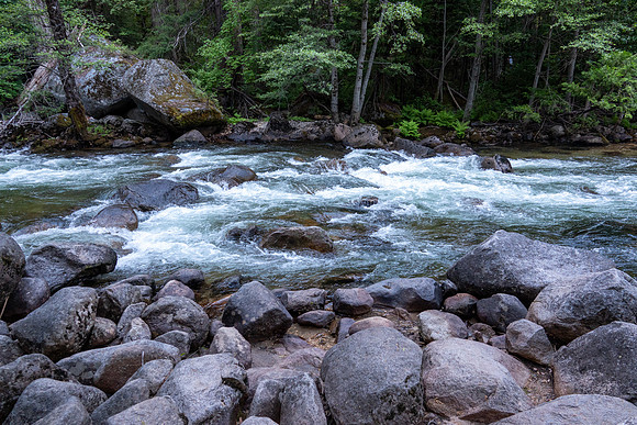 Yosemite0624-156
