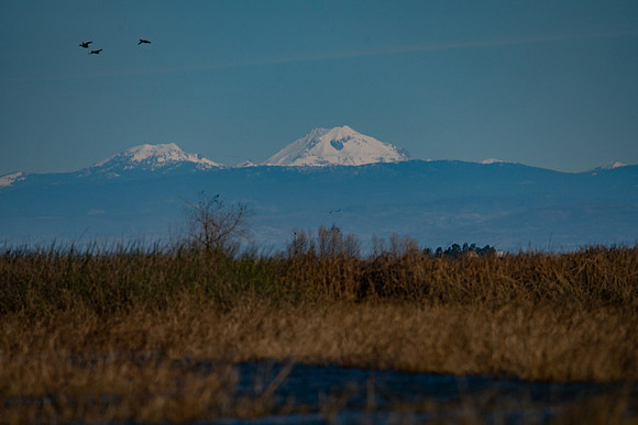 SNWR 010119-38