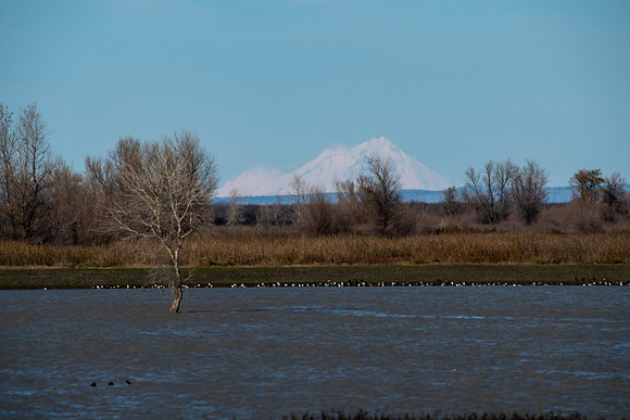 SNWR 010119-78