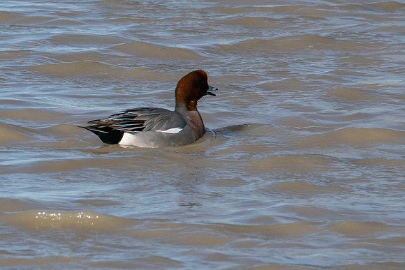 SNWR 010119-82
