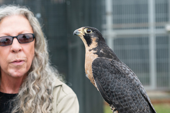 GCWR 051819-124