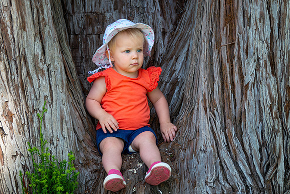 Avery 052724-14