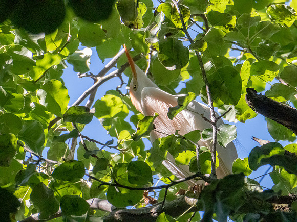 P1000190