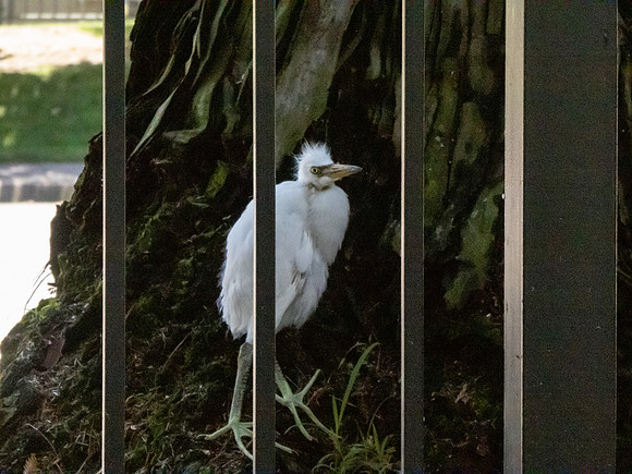 P1000212