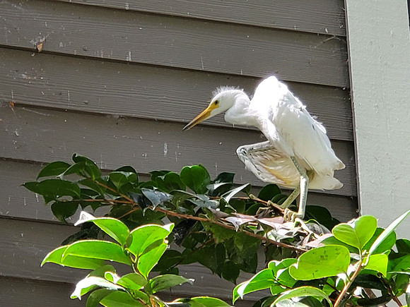 20190706_152310 (002)