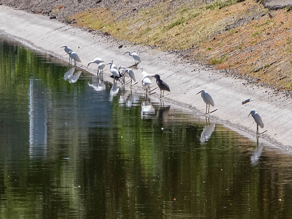 P1000261