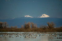 SNWR 010124-08