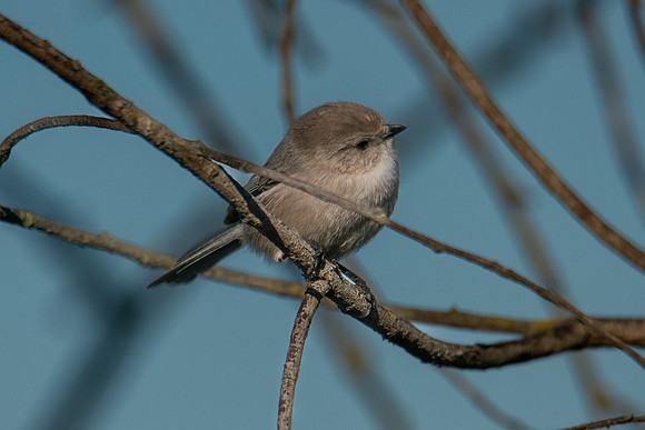 SNWR 010124-10