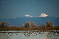 SNWR 010124-09
