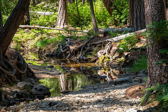 Yosemite0624-078