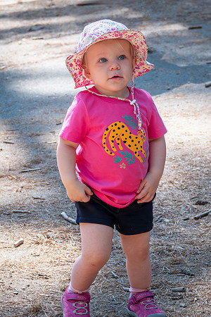 Yosemite0624-041