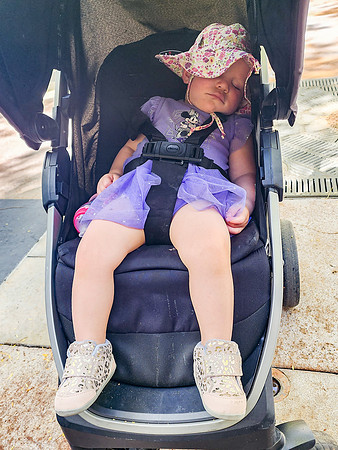 Disneyland0324-22