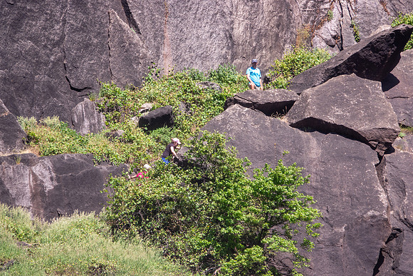 Yosemite0624-059