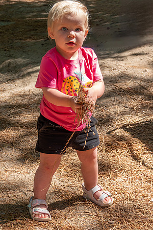 Yosemite0624-110