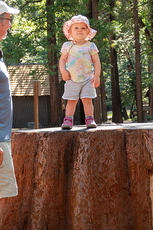 Yosemite0624-143