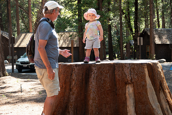 Yosemite0624-144