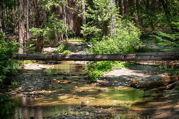 Yosemite0624-080