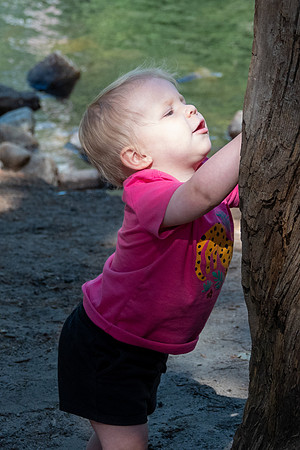 Yosemite0624-113