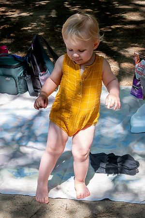 Yosemite0624-084
