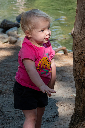Yosemite0624-114