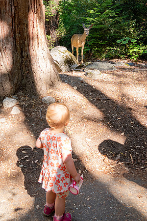 Yosemite0624-165