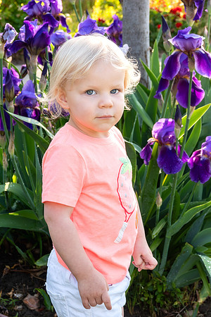 Avery 040925-02