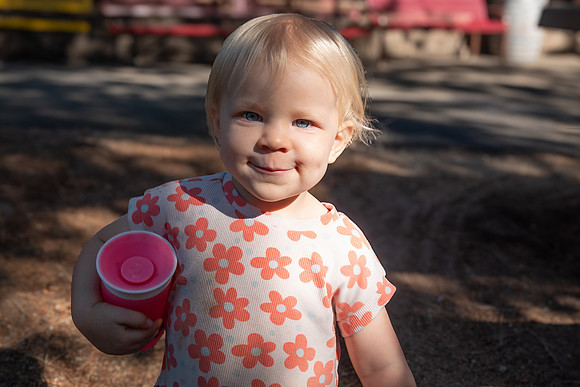 Avery 091424-11